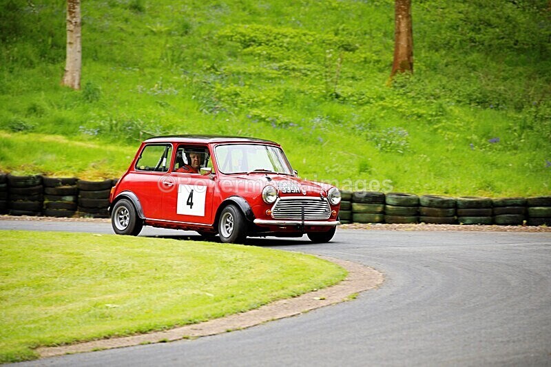 _56A1773 - MINI FESTIVAL 22ND May 2021