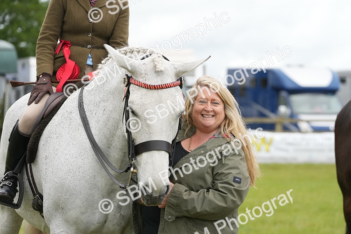 SBM_12852 - Class 97-98 - LIHS BSHA Rising Star Working Show Horse Hunter