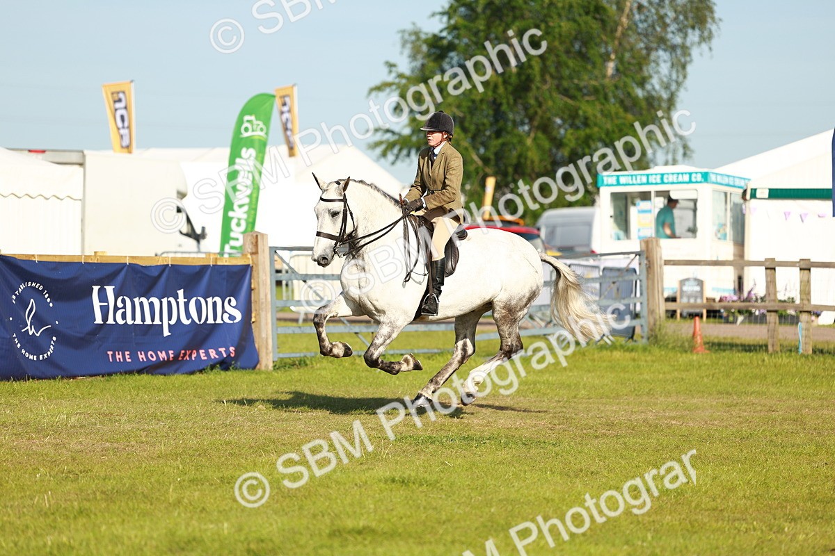 SBM_10771 - Class 66-69 - RIHS Ridden Hunters Inc Small Hunter