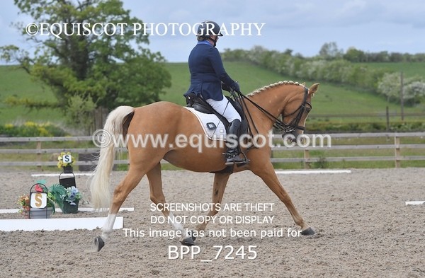 BPP_7245 - 3 D HARRISON