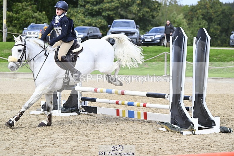 251005A-125039-03915 - Cls 08 Mini 70-75cm