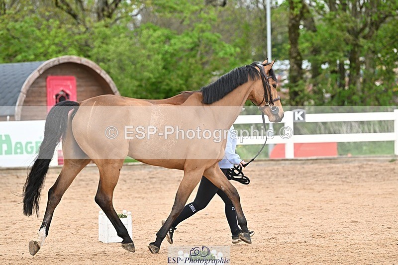 250423-144416-01287 - 2pm to 3pm