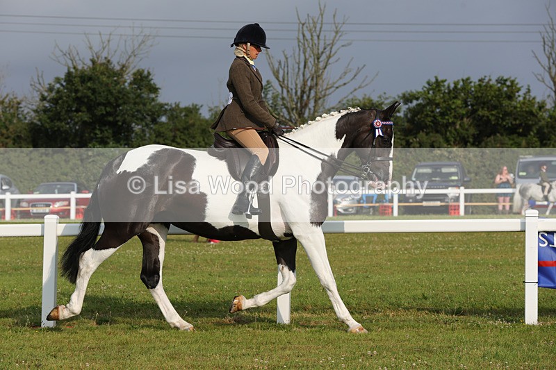 1X9A2825 - Class 25: Ridden Plaited Coloured Horse