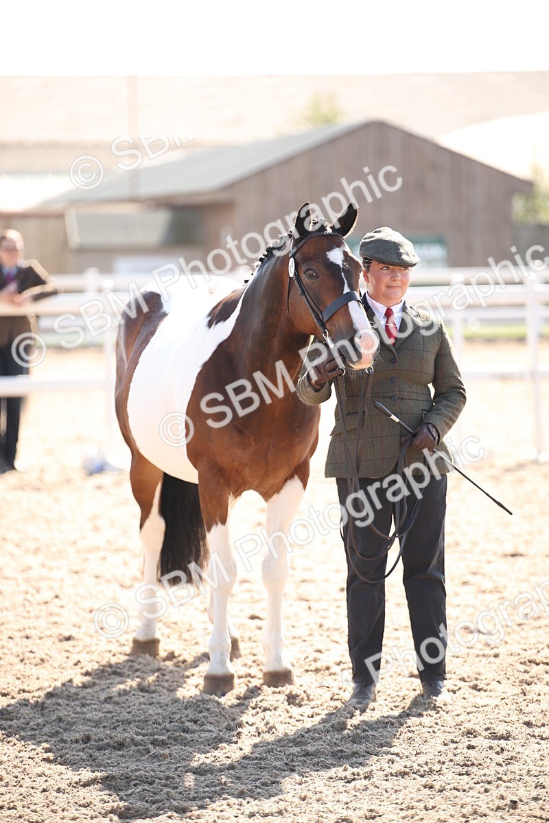 SBM_01550 - Class 15 IH Coloured