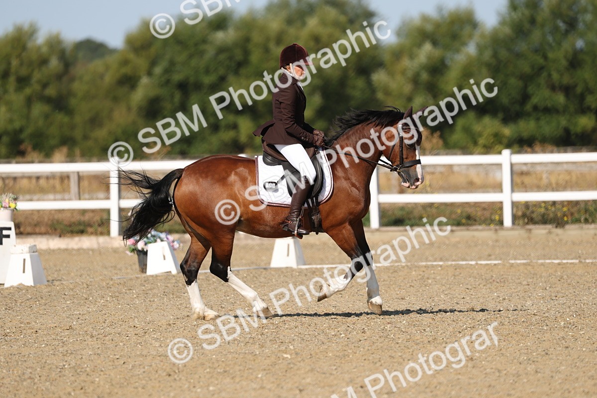SBM_012787