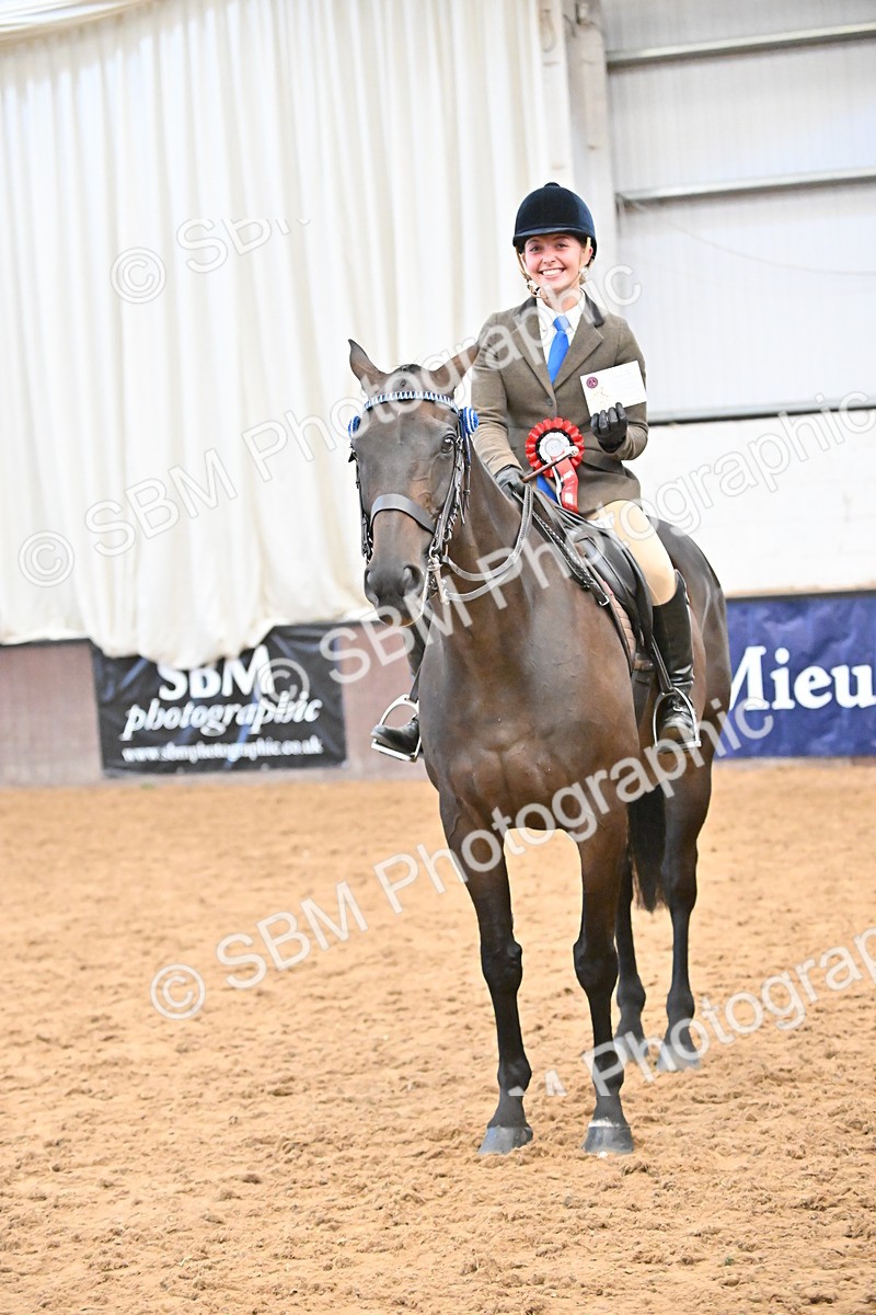 SBM_002401 - Class 22 - BSHA Ridden Hack & Riding Horse
