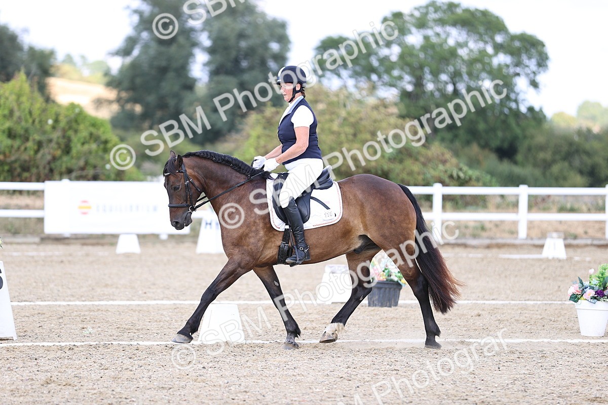 SBM_015340 - Class 5 - E5 Bronze 14.42.15.54