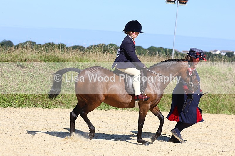 3E7A8028 - Class 15: Lead Rein