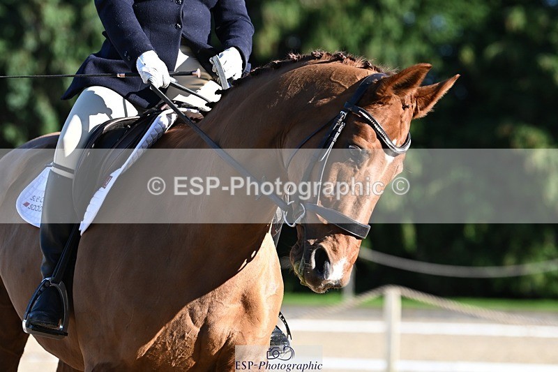 231110-131300-00883 - Cls 4 Novice 39Q