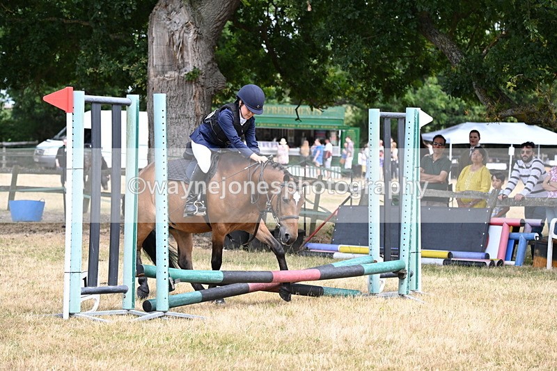 WJ6_5221 - Class 12 Minimus Jumping 45cm