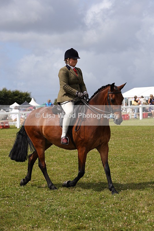 1X9A4095 - Class 32: Show Hunter Pony 153cm and under