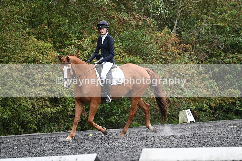 WJ7_6655 - Time 14:49 to 15:14