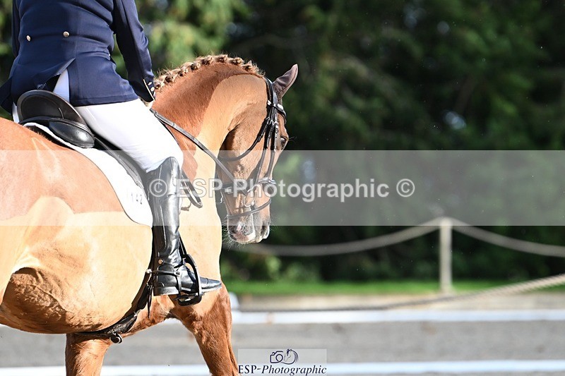 231110-142512-01926 - Cls 7 Medium 61