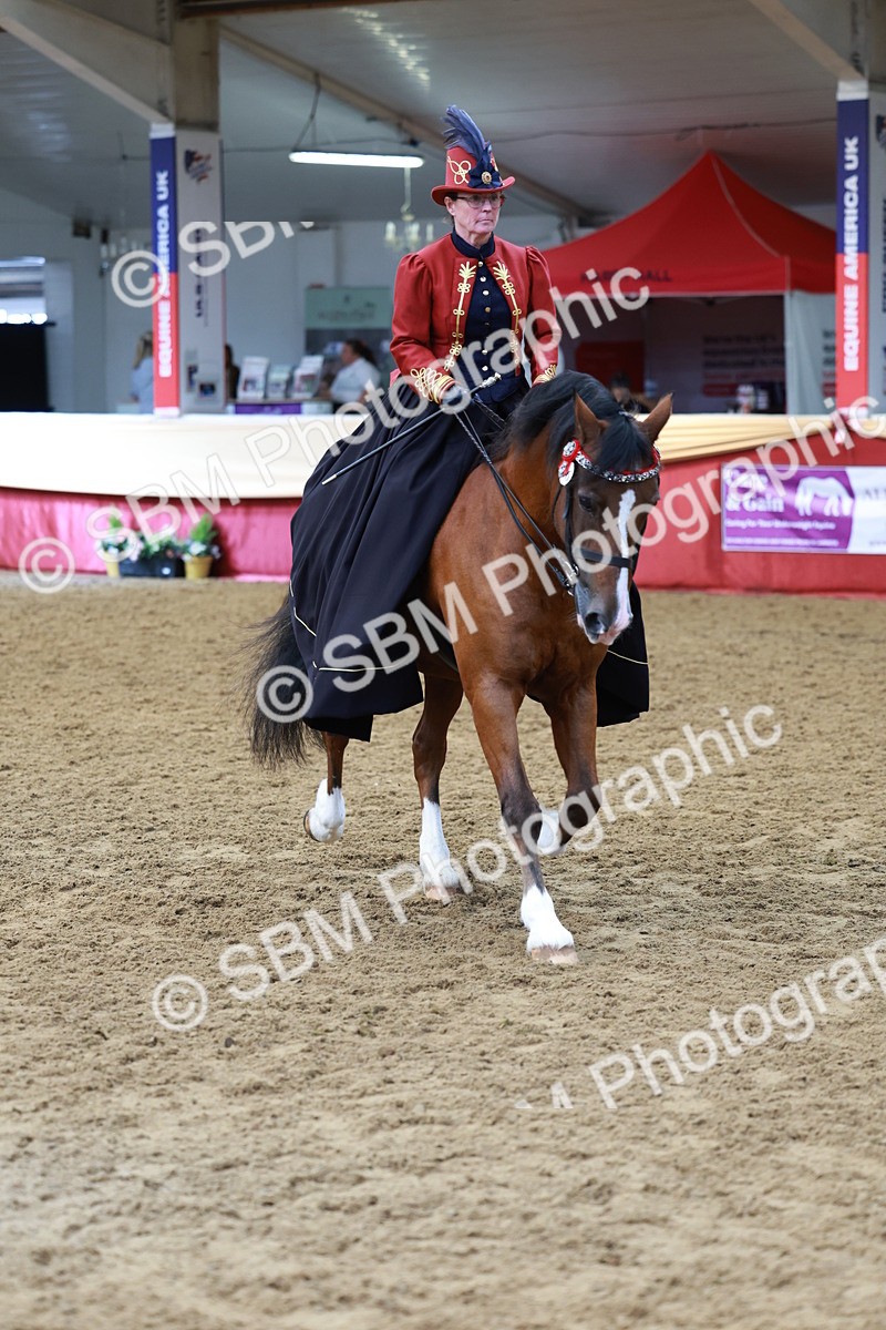 SBM_14804 - Class 107 - Ridden Costume - Astride Adult  (20+)