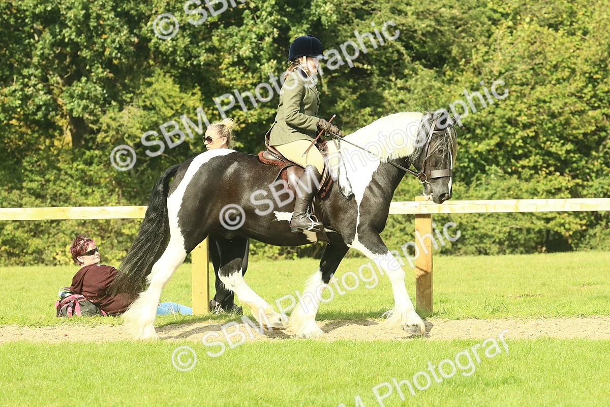 SBM_67430 - S56 - Coloured Pony Ridden