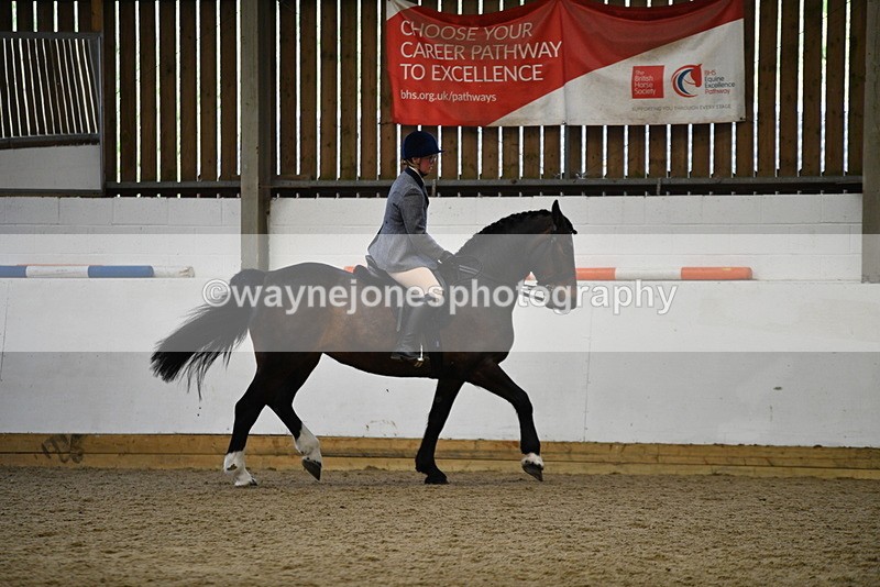 WJ5_7761 - Class 13 Ridden Part Breed