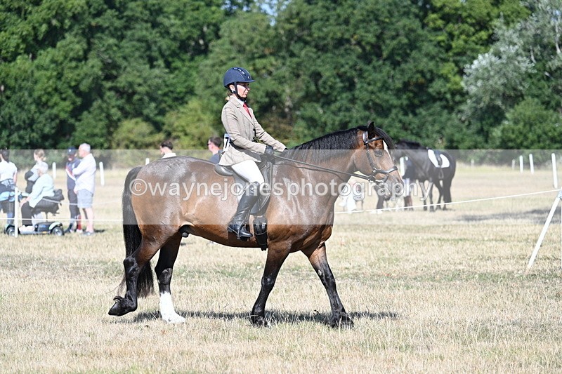 WJ7_3415 - Class 9 Mountain & Moorland Ridden