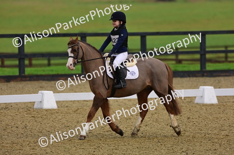 20260125-0651 - Class 9b - Walk Trot Unassisted