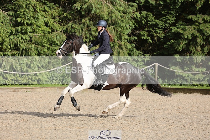 240616-175721-05904 - 90cm