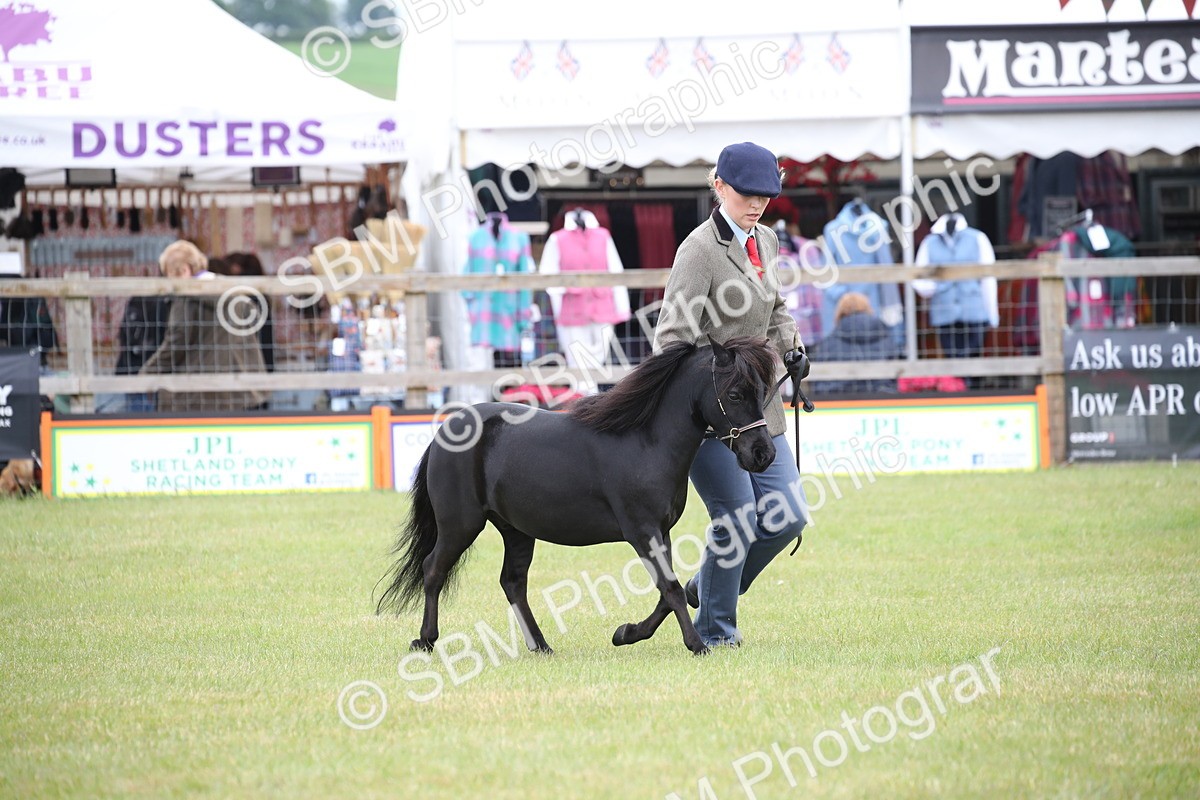 SBM_03960 - Class 23-25 - British Miniature Horse of the Year