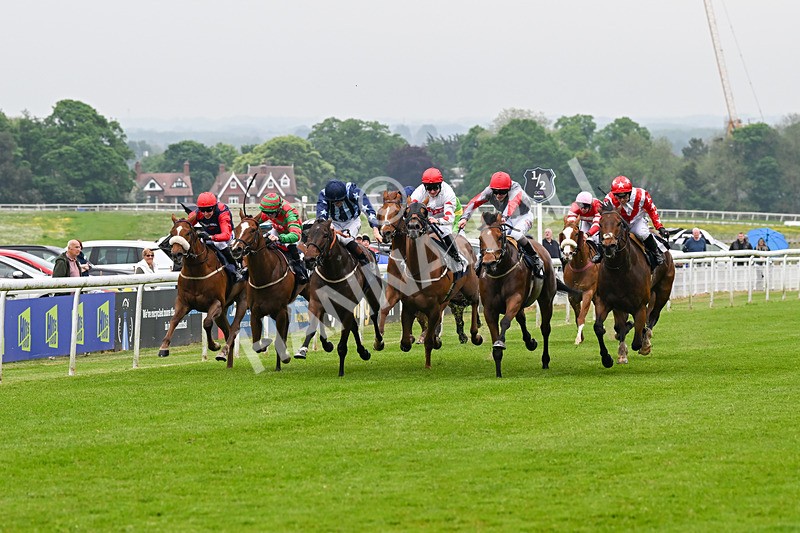 140524-Race 4-Bella Kopella-2020 - Race 4