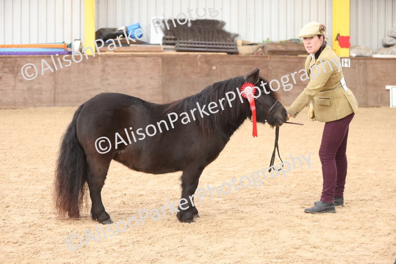 20251109-0105 - Class 5 - Mares 4 Years and over