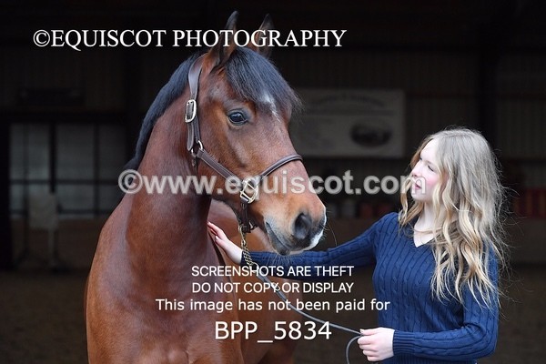 BPP_5834 - Marion West pony 3