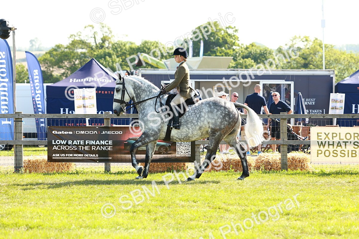 SBM_11778 - Class 66-69 - RIHS Ridden Hunters Inc Small Hunter