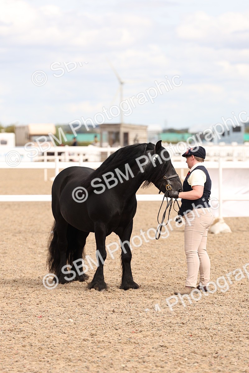 SBM_15136 - Class 209 - IH Veteran Pony