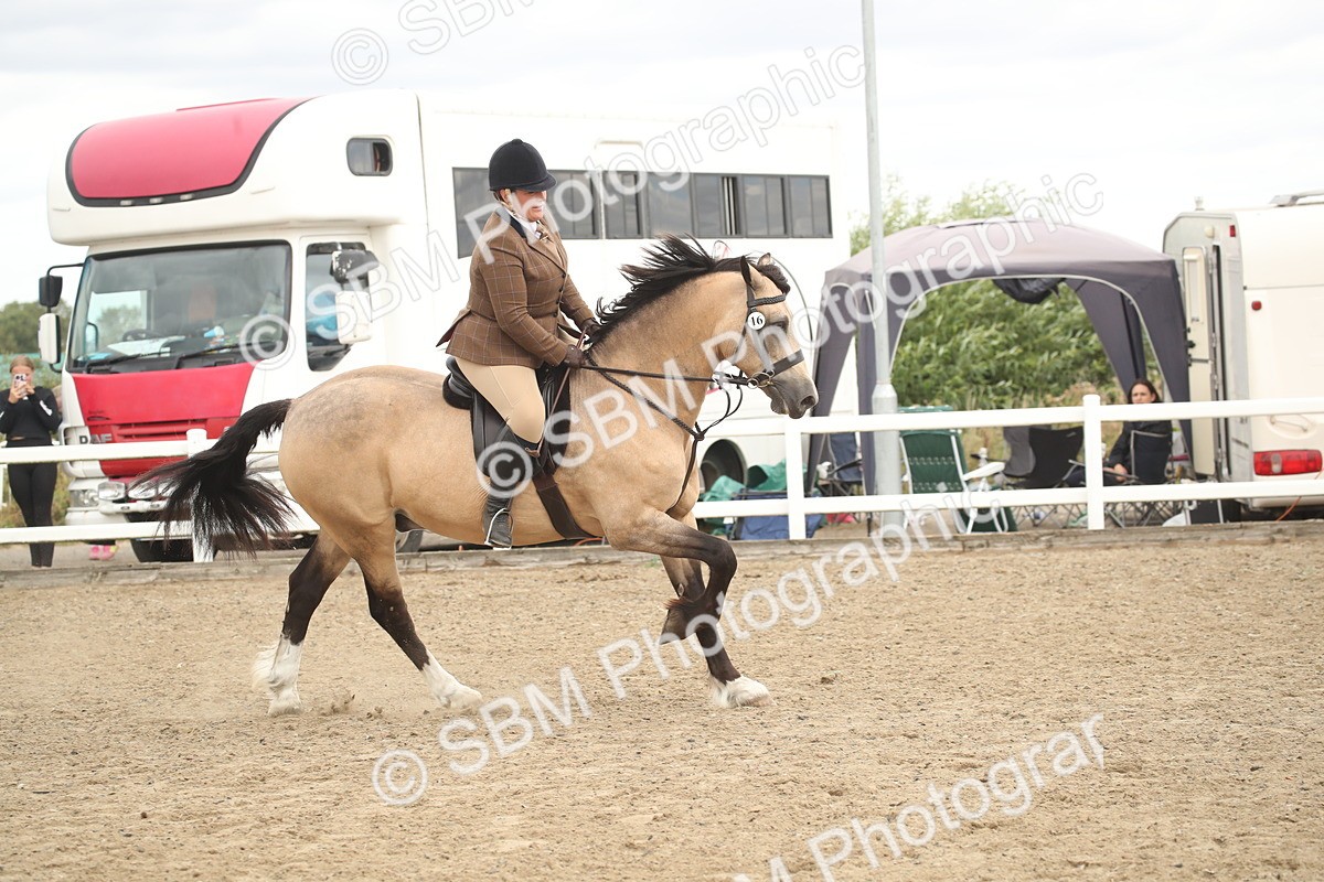 SBM_16682 - Class 507a - Working Veteran - 60cm (15-19)