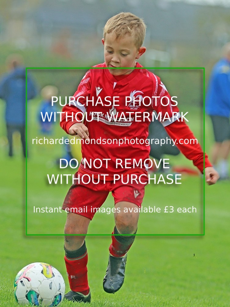 IMG_7264 - Ibis Under 8's (19/10/24)