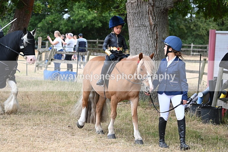 WJ6_8894 - Class 11 Fancy Dress