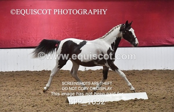 BPP_1632 - MORNING 9AM - 12PM