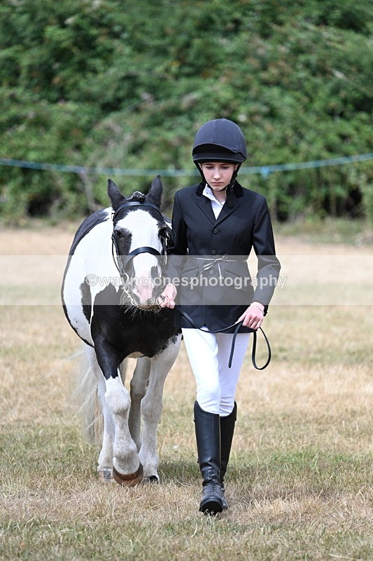 WJ7_1701 - Class 4 Prettiest Mare up to 14.2hh in hand
