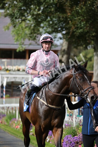 yr24092021r4-39 - Race 4 3.15pm William Hill Play Responsibly British EBF Restricted Novice Stakes