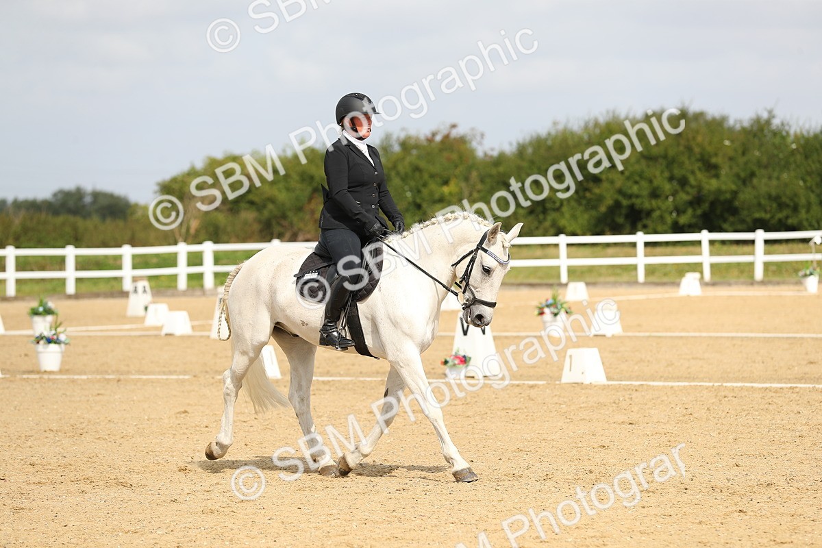 SBM_016313 - Class 13 - Novice 23 - 11.25-12.35