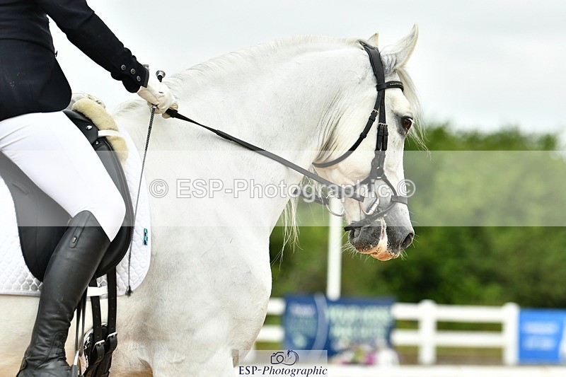 230702A-113822-08761 - Cls 26 Novice 37A