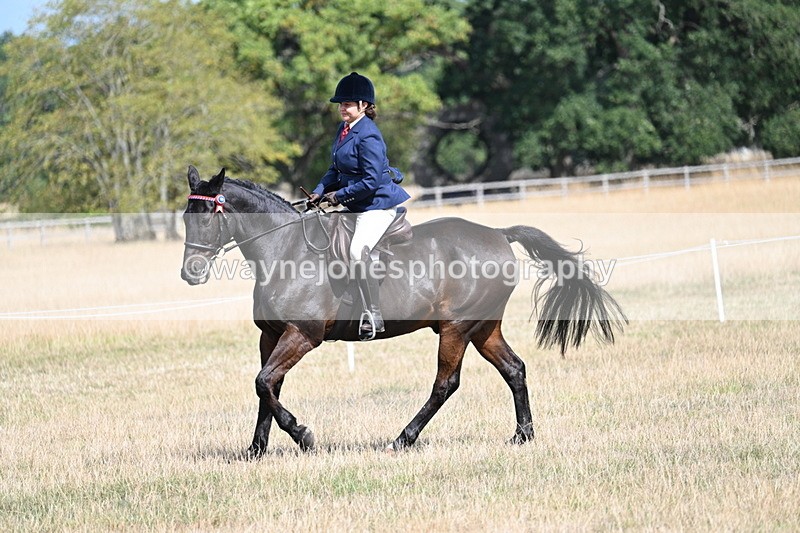 WJ7_6244 - Class 13 Ridden Veterans
