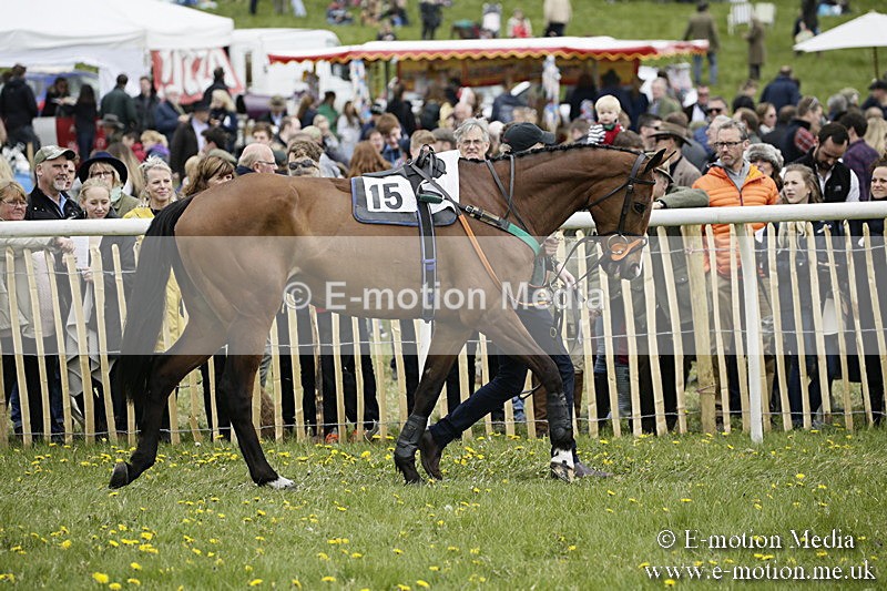 PtP 170417 125 - Old Berks Point-to-Point Lockinge 17/04/17