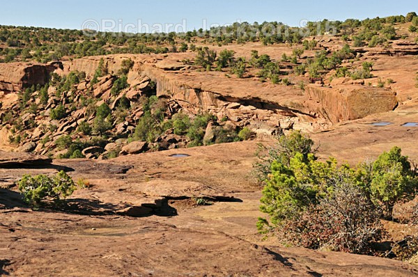 Canyon-6 - Canyon de Chelly