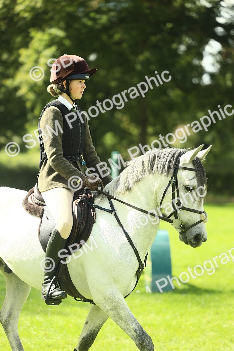 SBM_42936 - S30 - M&M Working hunter Pony