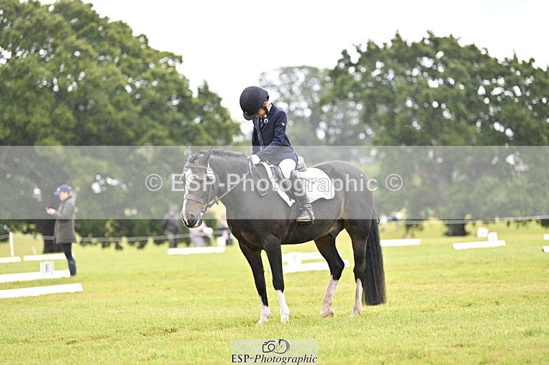 240824X-104308-21778 - D70 Section A and B 9.30 to 10.40