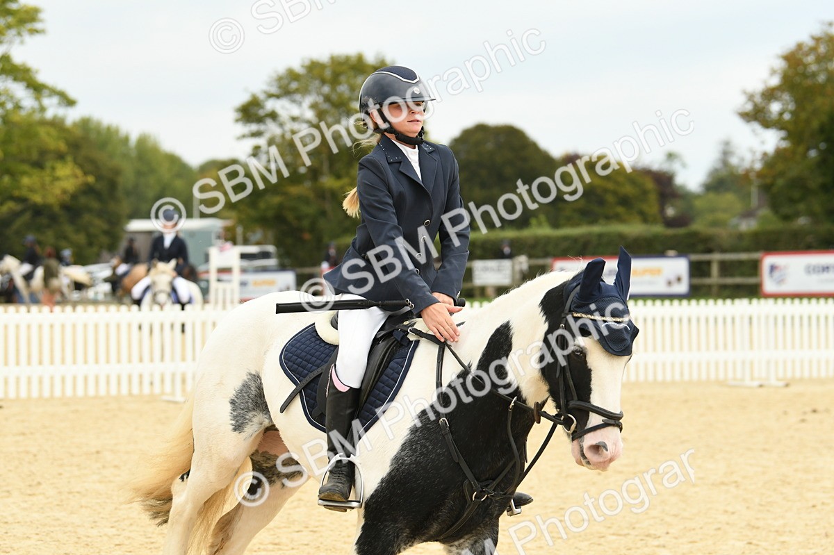 SBM_73152 - J16 - Junior Pony 75cm Championship