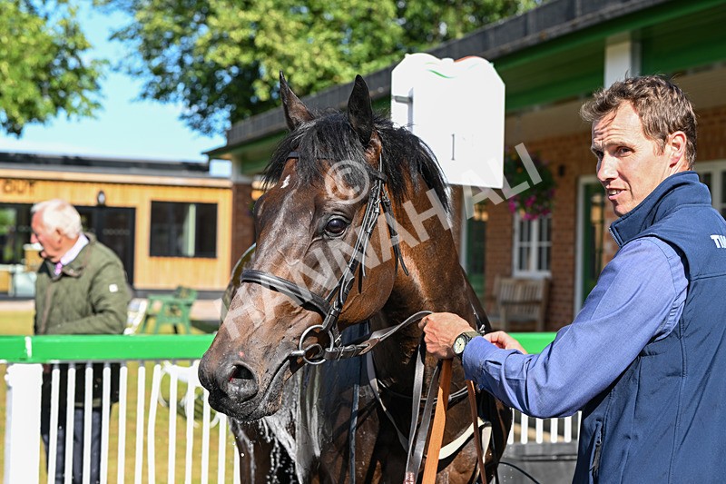 020725-Race 7-Manila Scouse-3363 - Race 7