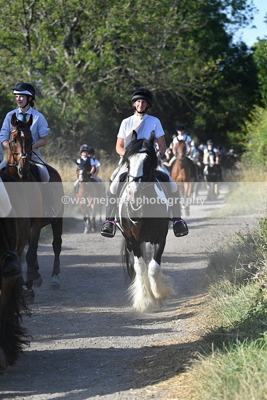 WJ5_4921 - Walk out with the hounds