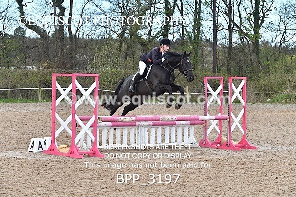 BPP_3197 - CLASS 2 Club/ Unaffiliated 80cms Open