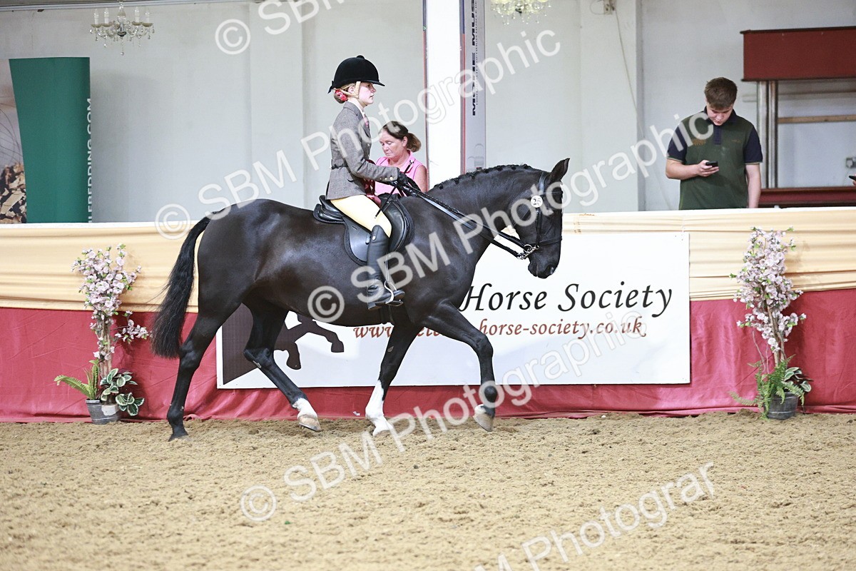 SBM_08643 - Regional Ridden Champ