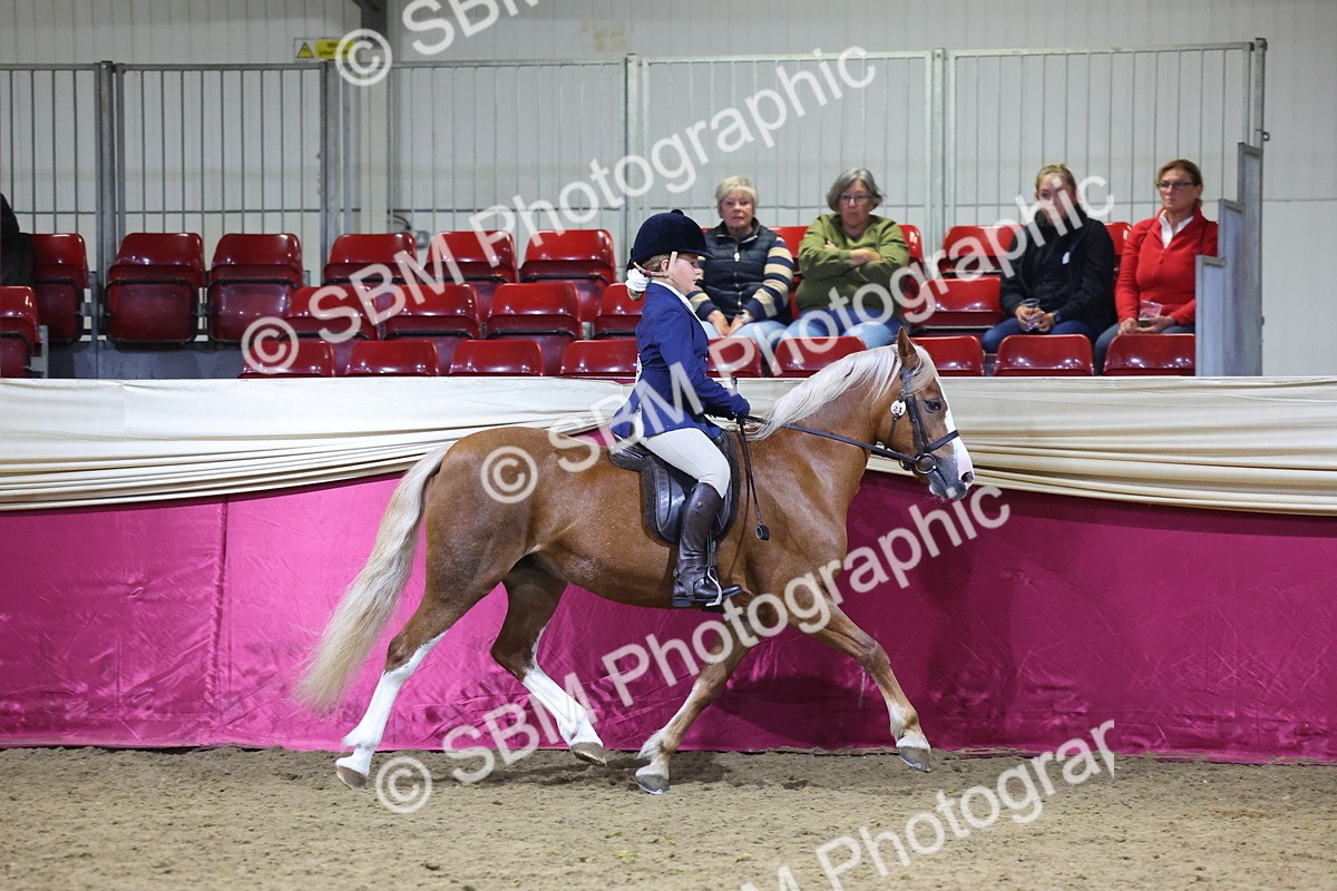 0B8A4578 - Class Q Style & Performance Champ