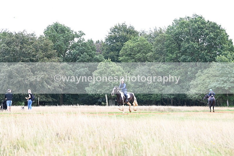 DSC_6461 - Time at Statue 12:17 to 12:44