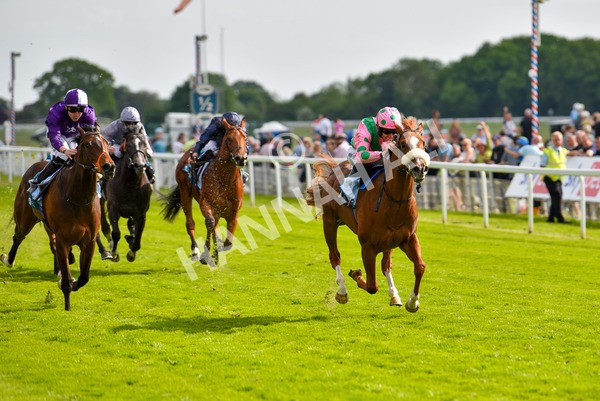 170523-Race 6-Mon Na Slieve-9016 - Race 6 4.45pm British EBF 40th Anniversary Novice Stakes
